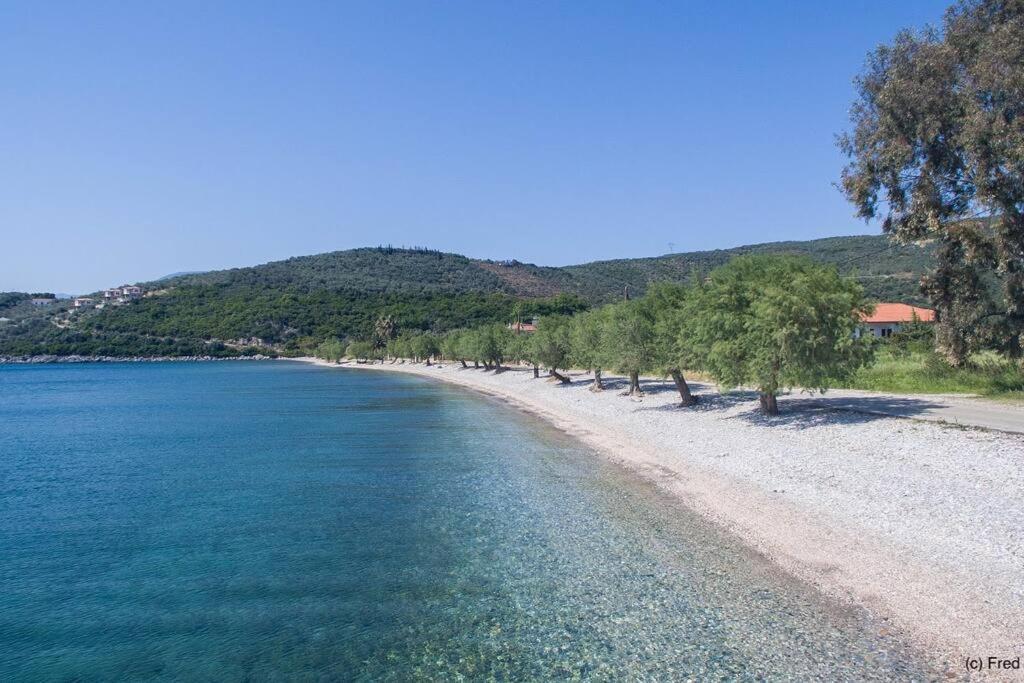 Zephyr Guest House Lefokastro Dış mekan fotoğraf
