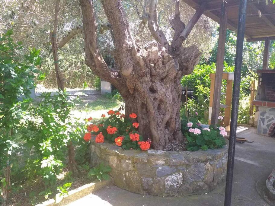 Zephyr Guest House Lefokastro Dış mekan fotoğraf