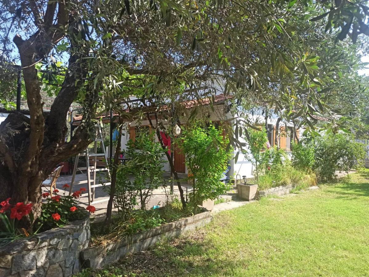 Zephyr Guest House Lefokastro Dış mekan fotoğraf